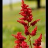 20080727_059